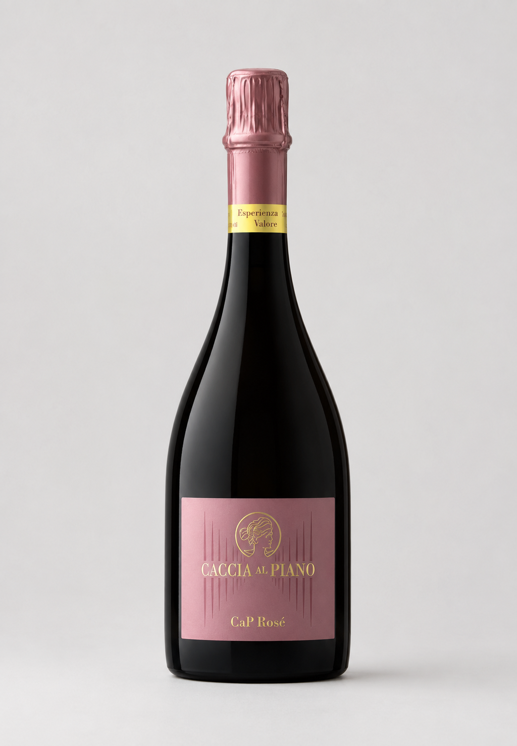 Caccia al Piano M.C. Rosé