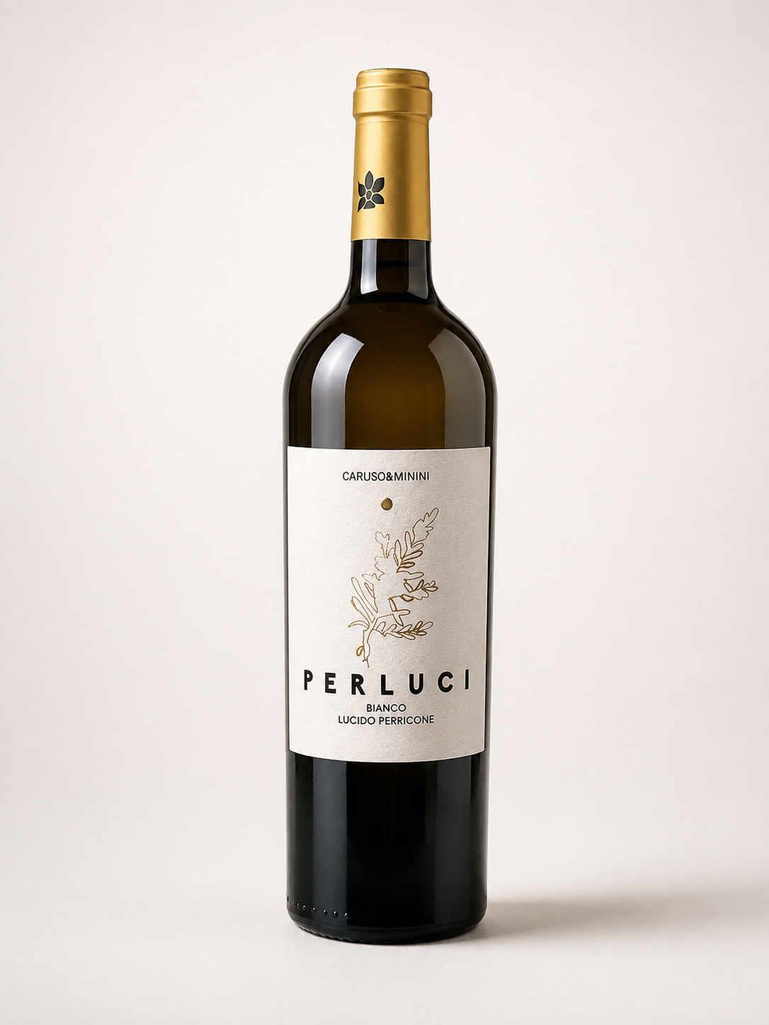Perluci 